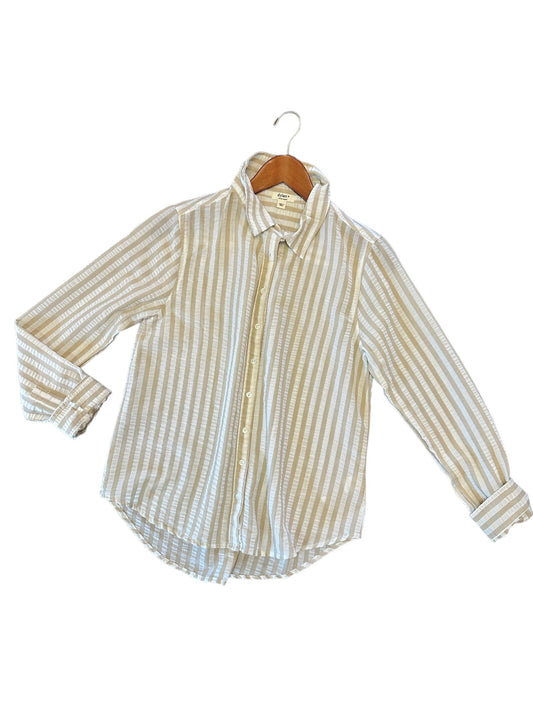 Taylor Long Sleeve Stripe Shirt in khaki by Dylan