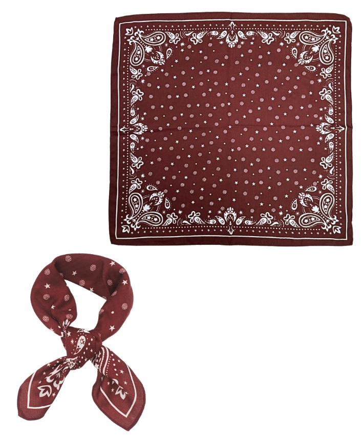 Paisley Print Bandana Scarf in burgundy