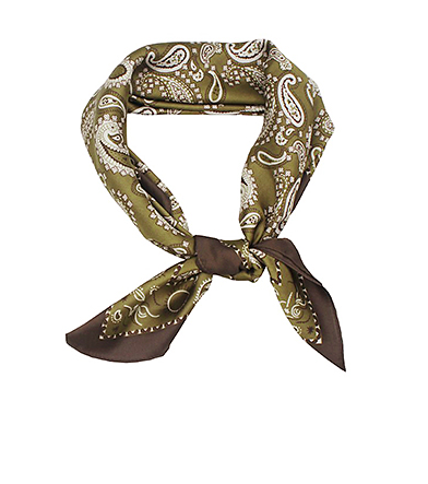 Paisley Border Scarf in olive