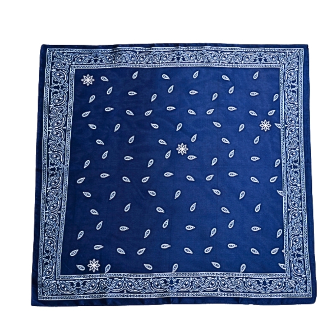 Paisley Printed Bandana Scarf in navy