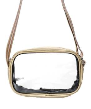 Camera Bag Style Clear Crossbody in gold