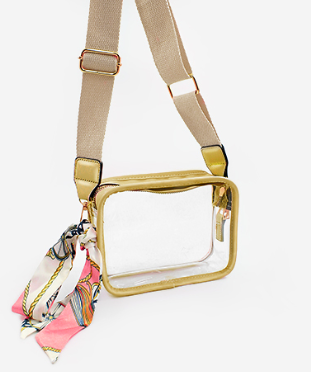 Clear Mini Rectangle Bag in gold