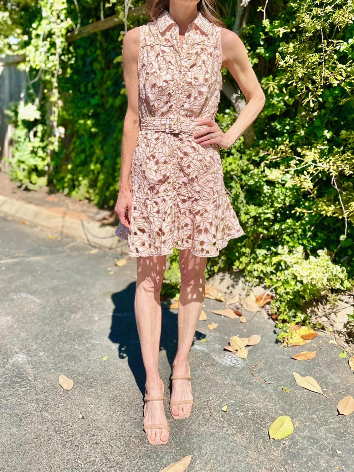 Anastasia Lace Detail Dress in blush by Allison