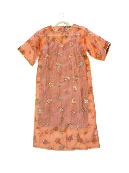 Donisha Embellished Dress in flamingo by Blank