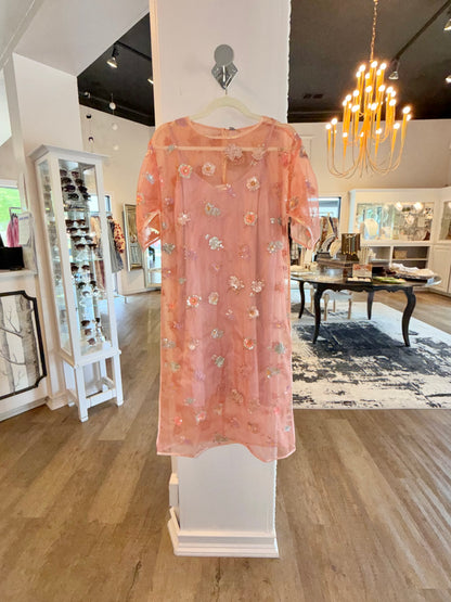 Donisha Embellished Dress in flamingo by Blank