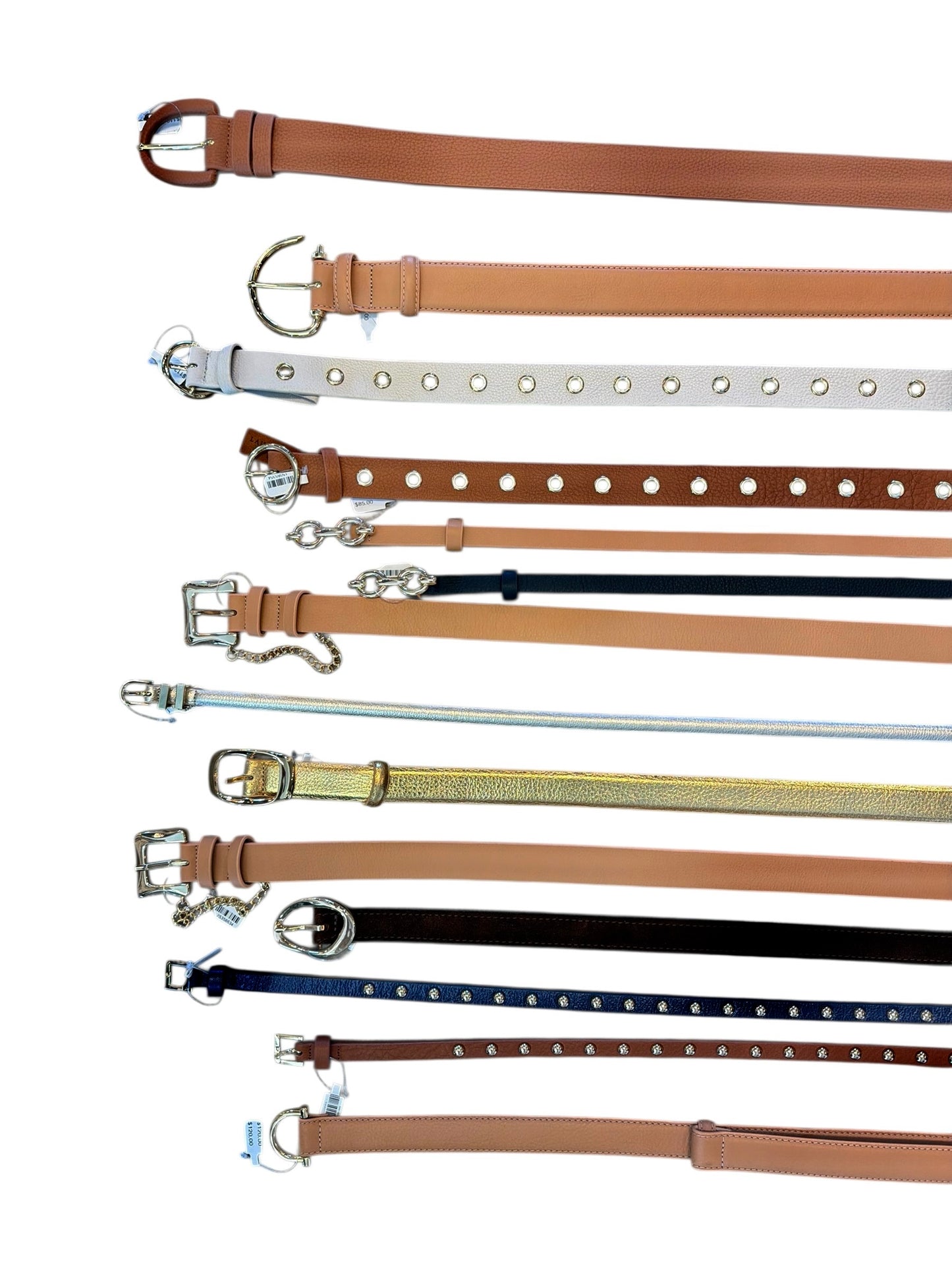 Palomino Belt in latte by Laurel & Gold
