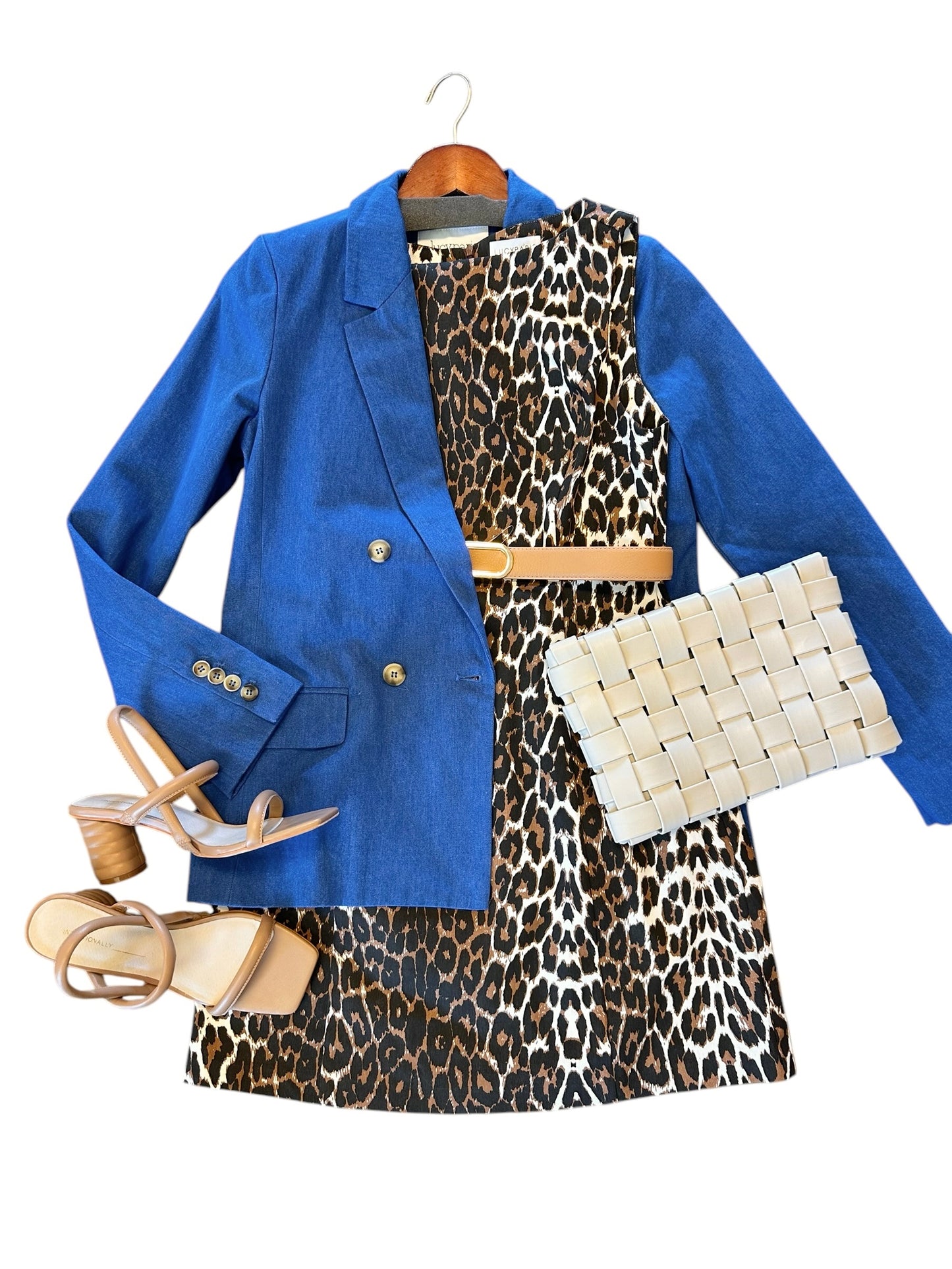 Cara Leopard Dress in multi by Lucy Paris