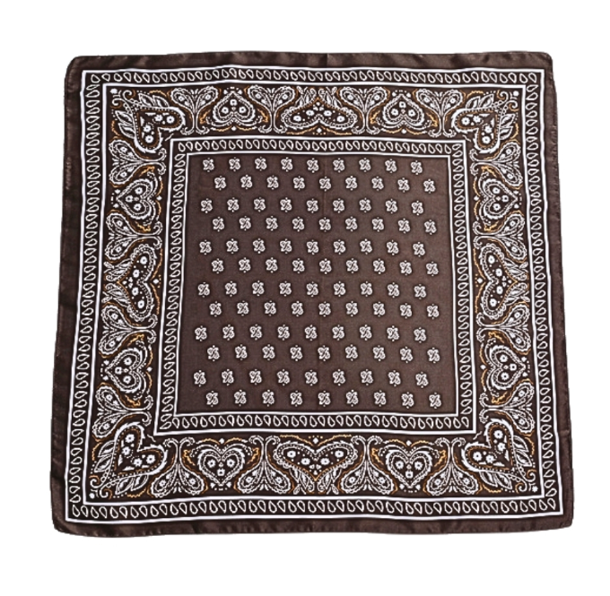 Paisley Printed Bandana Scarf in dark brown