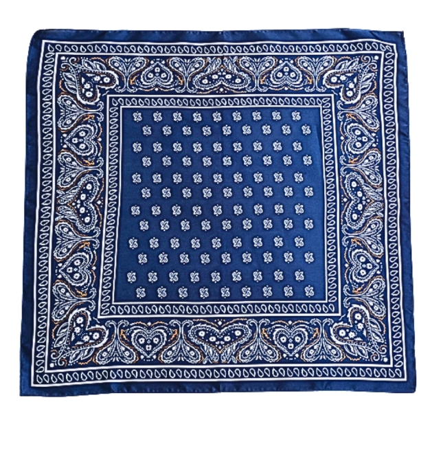 Paisley Printed Bandana Scarf in dark blue
