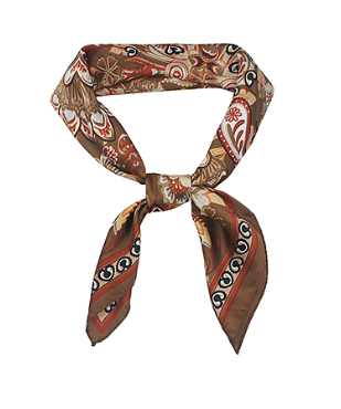 Bohemian Paisley Border Scarf in brown