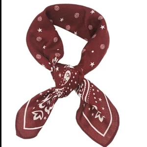 Paisley Print Bandana Scarf in burgundy
