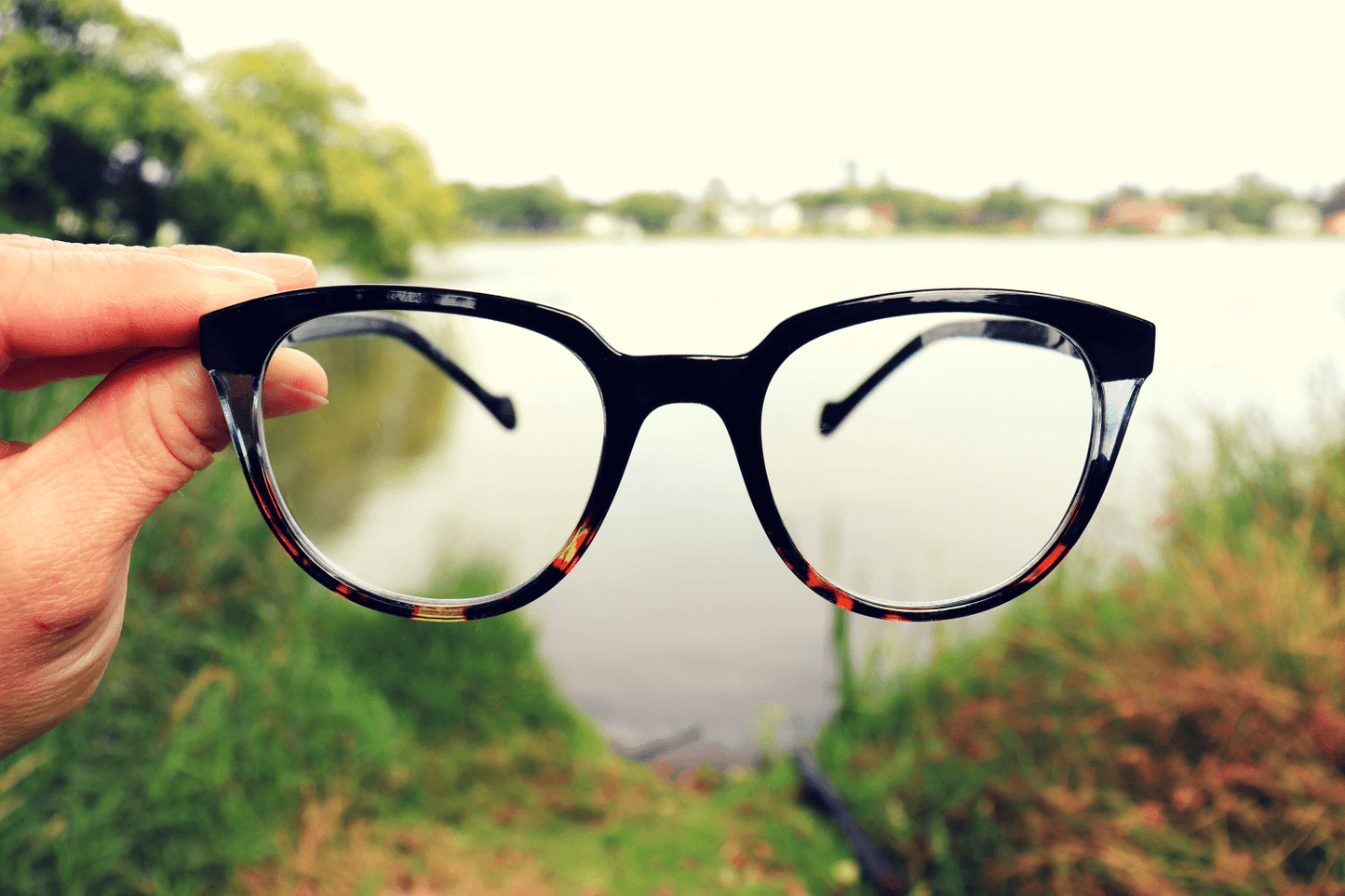 Charleston Reading Glasses: +2.0