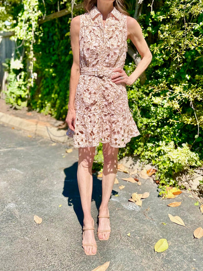 Anastasia Lace Detail Dress in blush by Allison