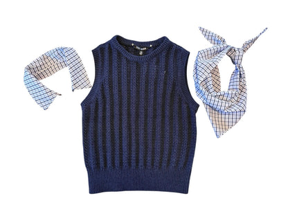 Embree Sweater Vest in Marine by Steve Madden